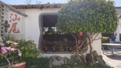 <strong>以天井小景绘就和</strong>